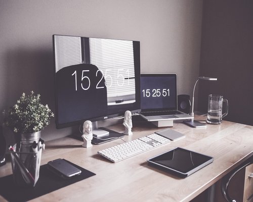 Minimalist ergonomic desk setup with laptop and plant